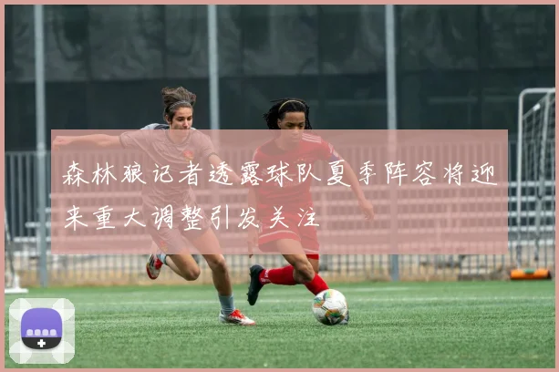 森林狼记者透露球队夏季阵容将迎来重大调整引发关注