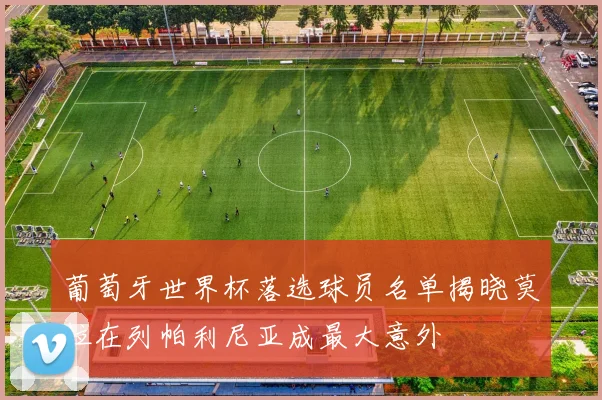 葡萄牙世界杯落选球员名单揭晓莫拉在列帕利尼亚成最大意外