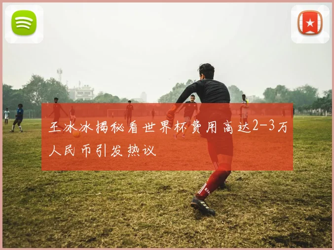 王冰冰揭秘看世界杯费用高达2-3万人民币引发热议